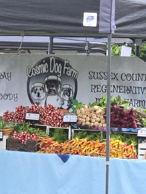 Historic Lewes Farmers Market
