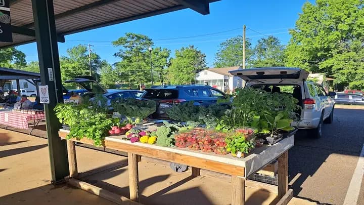Hitching Lot Farmers Market