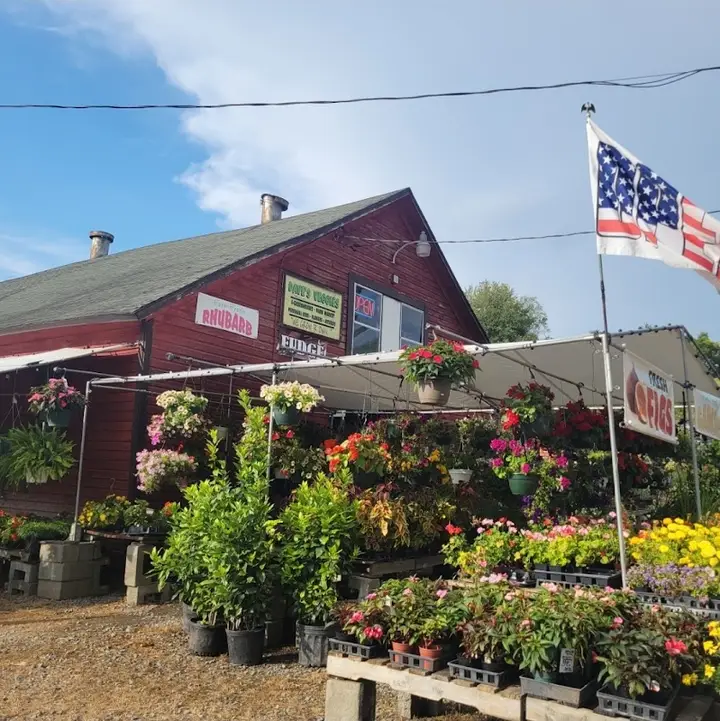 Homer Farmers Market photo 2