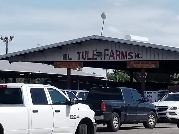 Houston Farmers Market