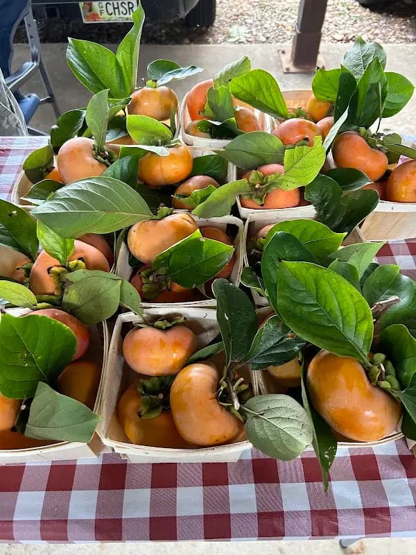 Howard County Farmers Market photo 2