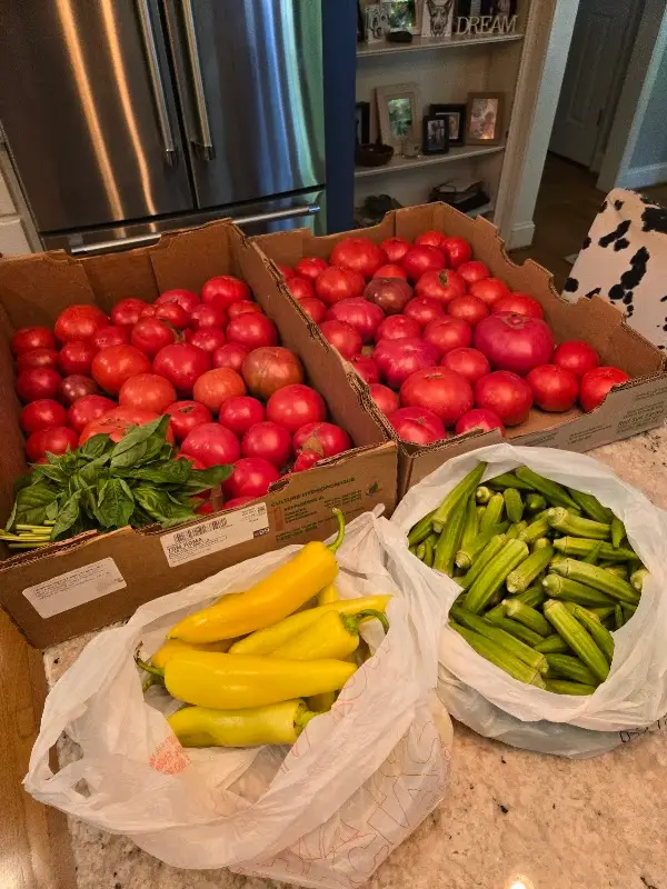 Hub City mobile farmers market photo 2