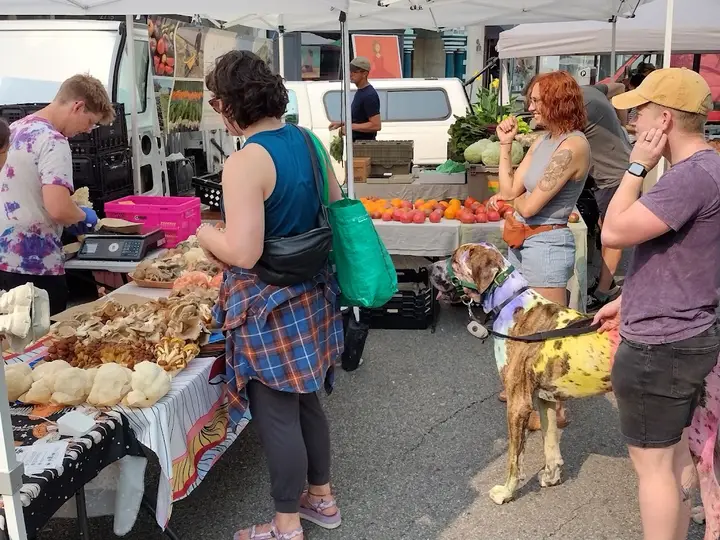 Hyde Park Farmers' Market photo 2