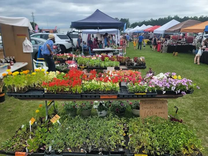 Isanti Family Farmers Market