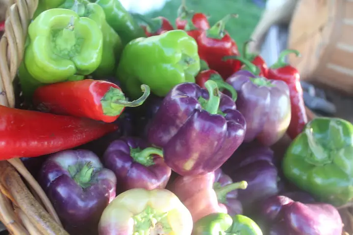 Islandview Farmers Market