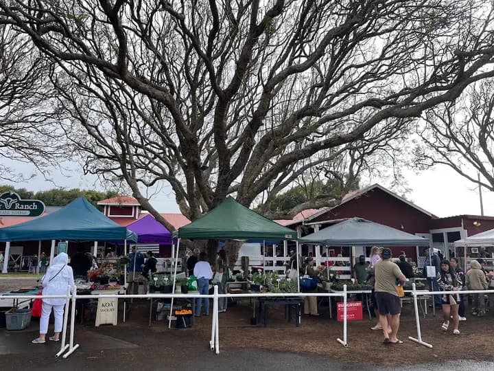Kamuela Farmers Market