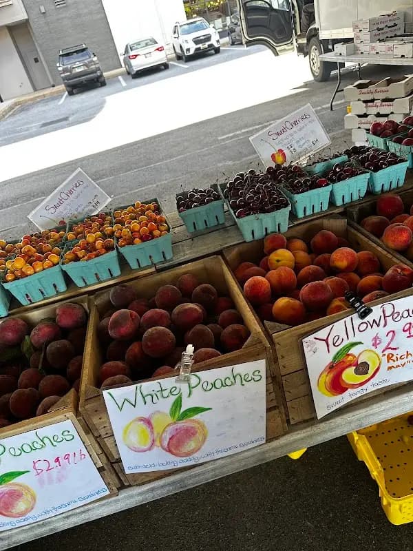 Kenilworth Farmers Market photo 2