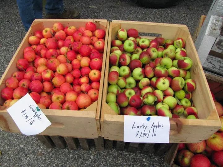 Kennebunk Farmers' Market