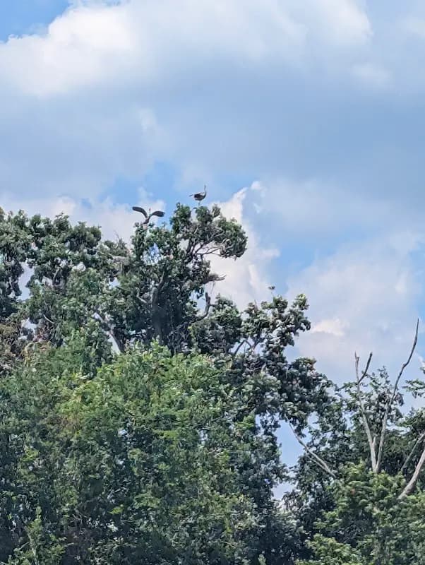 Kensington Metropark Farmers Market photo 2