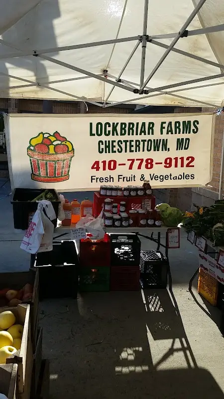 Kent Island Farmer's Market photo 2