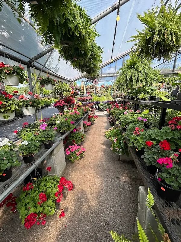 Kirkwood Farmers' Market