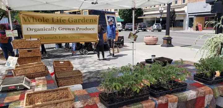 Klamath Falls Farmers Market Assoc. Inc. photo 2