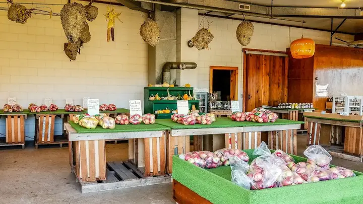 La Crescent Farmers Market photo 2
