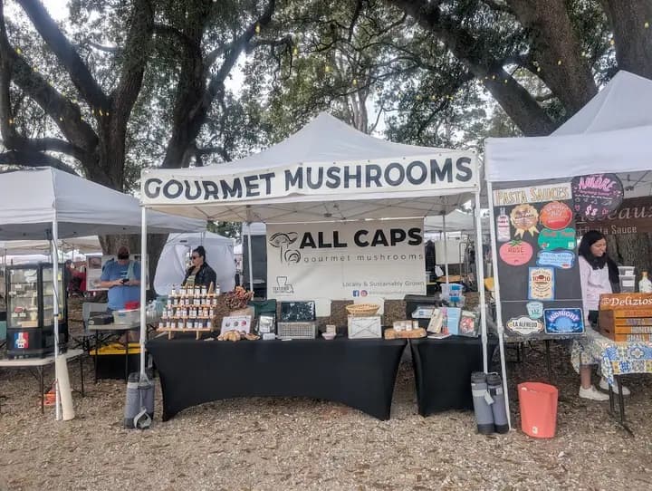 Lafayette Farmers and Artisans Market at the Horse Farm