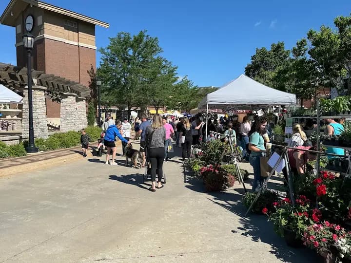 Lake Saint Louis Farmers and Artists Market
