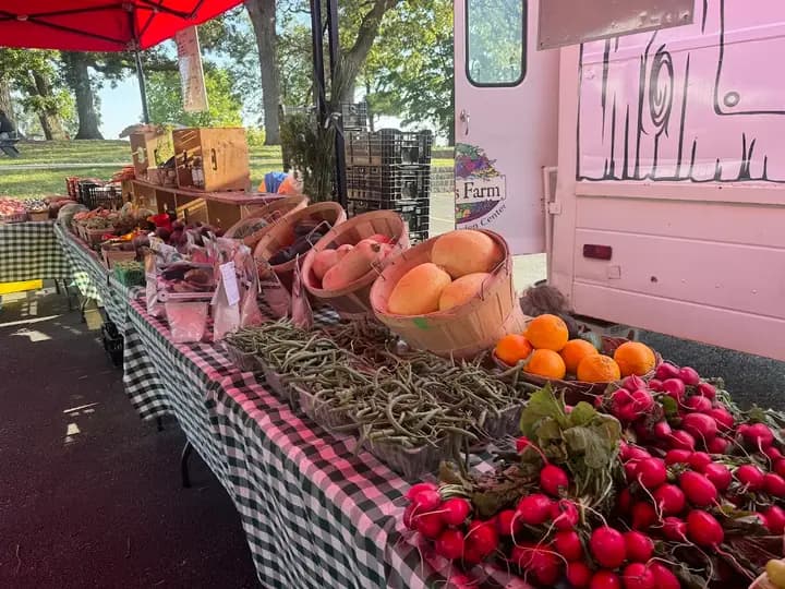 Lake Zurich Area Farmers Market photo 2
