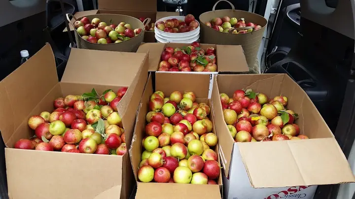 Lander Valley Farmer's Market
