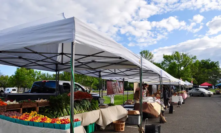 Lansdale Farmers' Market photo 2