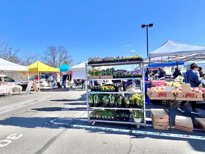 Larchmont's Down to Earth Farmers Market
