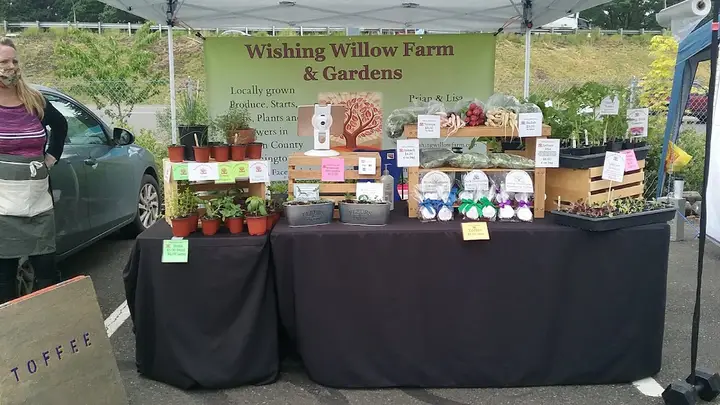 Lewis County Farmer's Markets DBA Centralia Farmer's Market