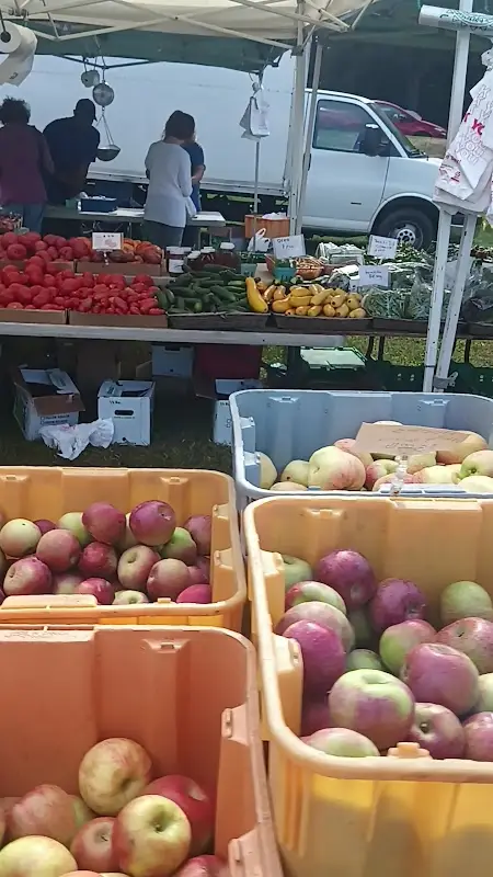 Lexington Farmers' Market photo 2