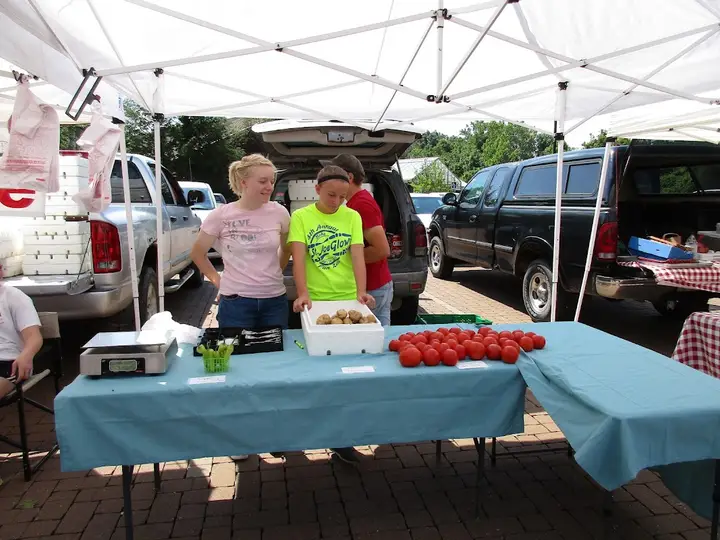 Lincoln University Farmers Market photo 2