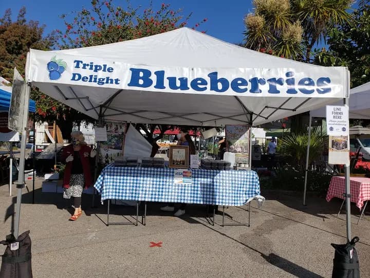 Live Oak Farmers Market photo 2