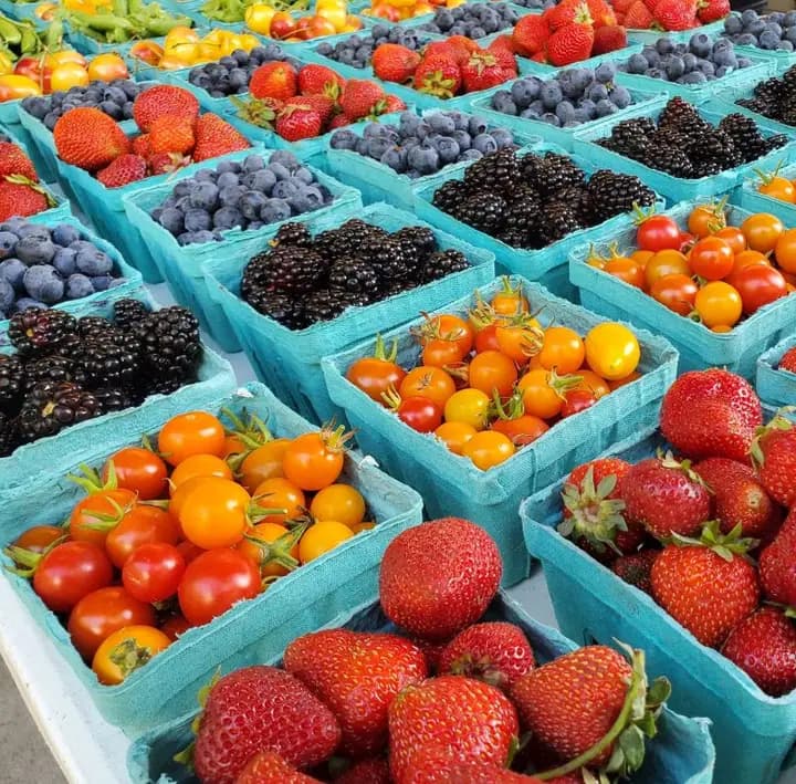 Lloyd Farmers Market