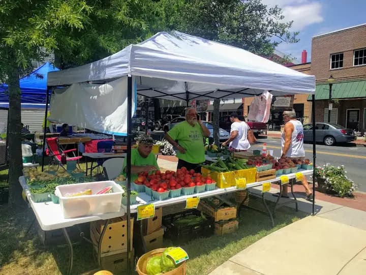 Loockerman Way Farmers' Market photo 2