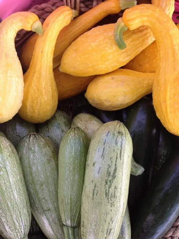 Los Lunas Farmers' Market