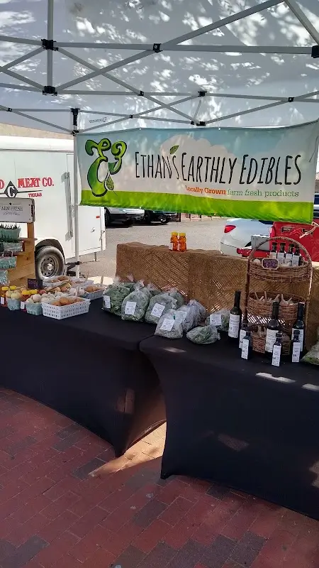 Lubbock Downtown Farmers Market photo 2