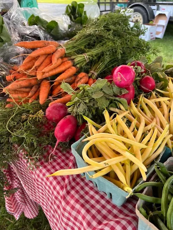 Macungie Farmers Market photo 2