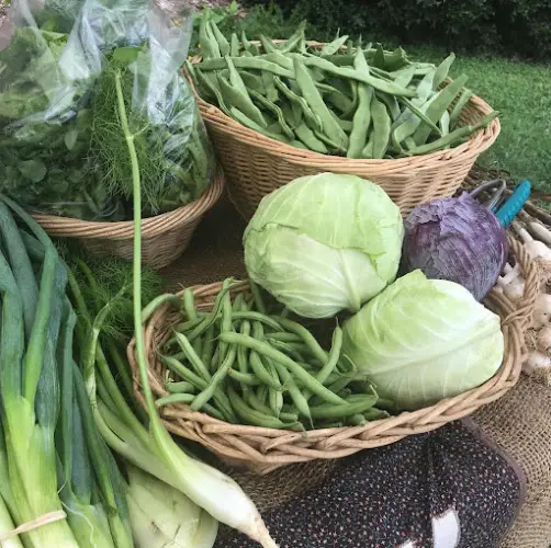 Madison County Farmers & Artisans Market