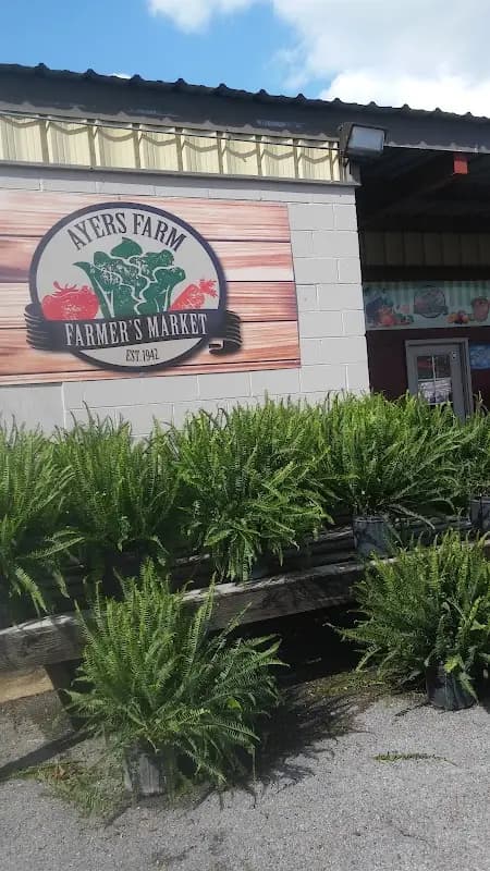 Madison County Farmers Market