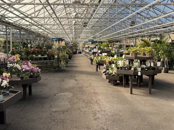 Mahoney's Garden Center photo 2
