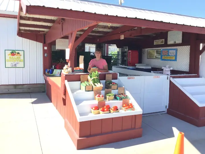 Main Street Elyria Farmers Market