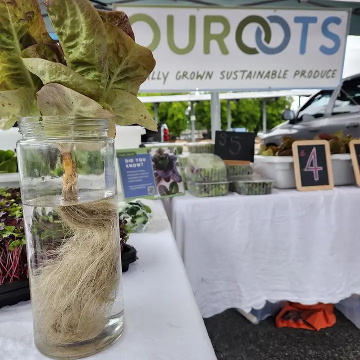 Main Street Farmers Market photo 2