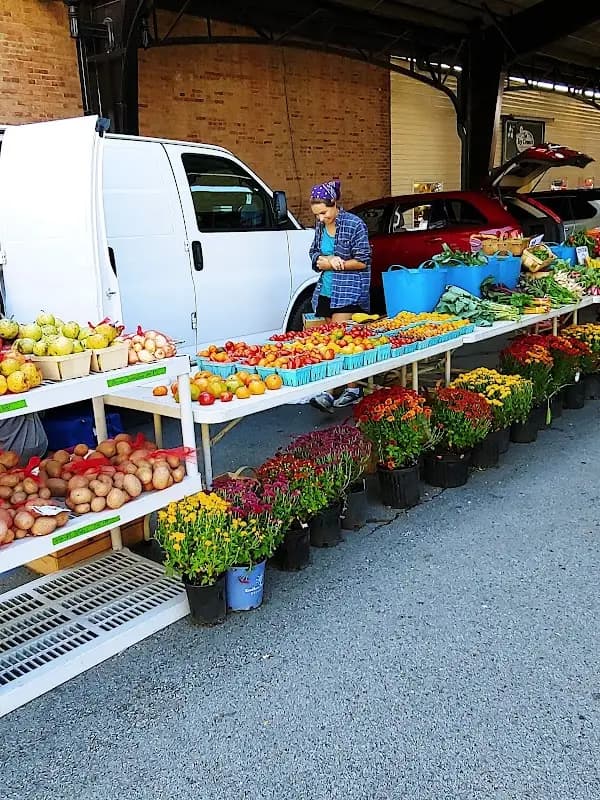 Main Street Farmers Market photo 2