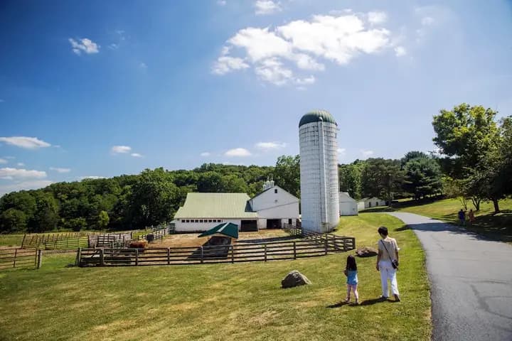 Malabar Farm Market