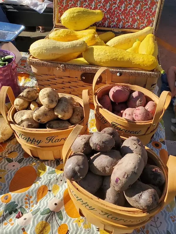 Mandan Farmers Market photo 2