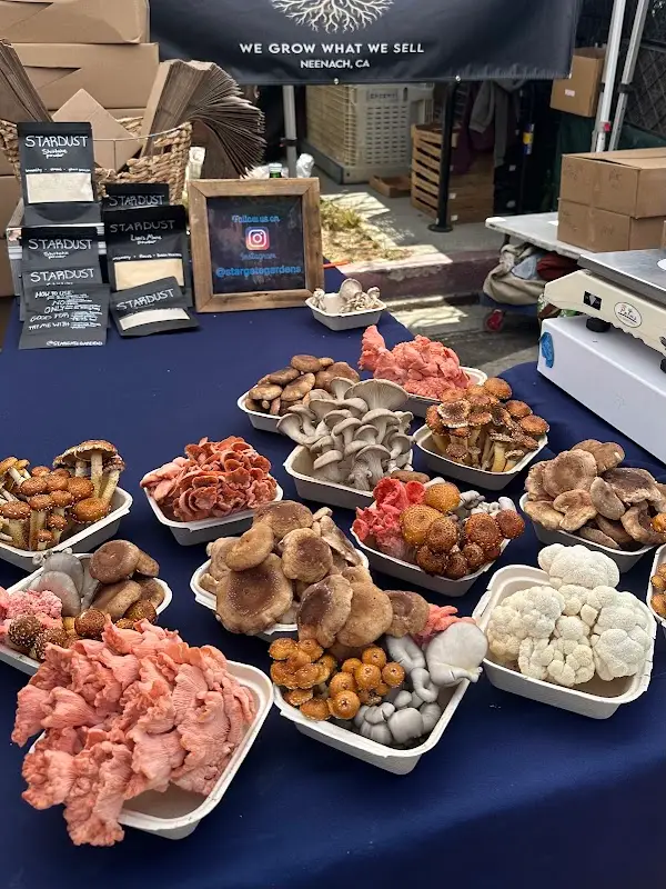 Mar Vista Farmers' Market photo 2