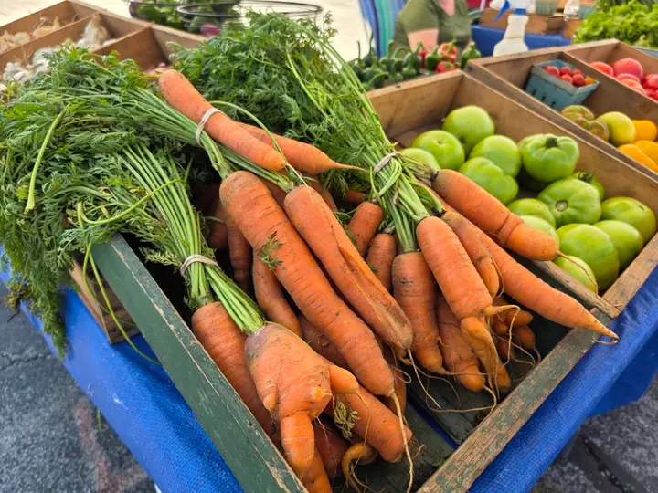MARSHFIELD FARMERS MARKET