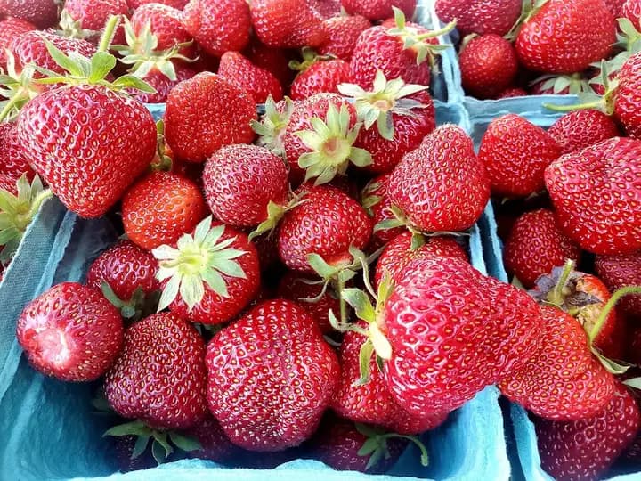 Martin's Farmstand