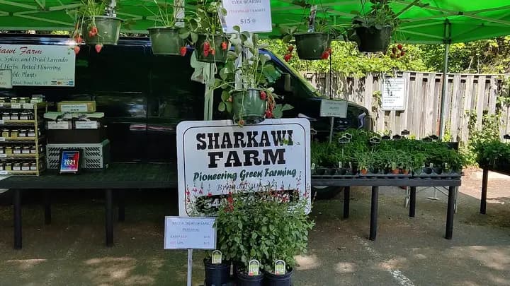 McLean Farmers Market photo 2