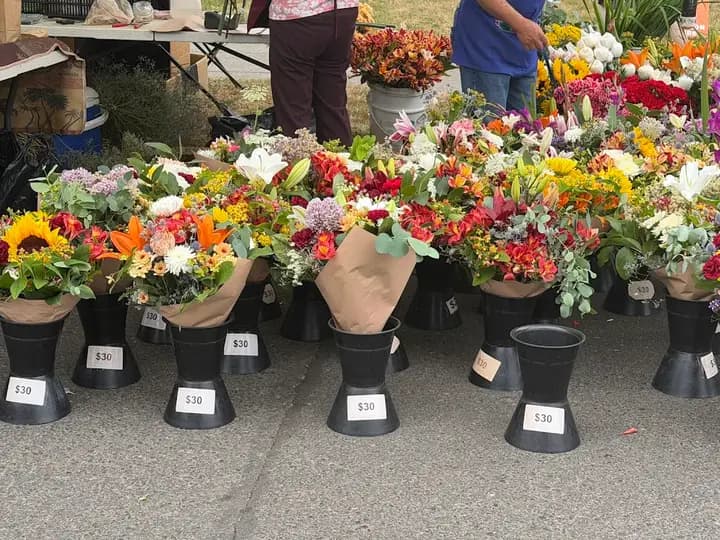 McMinnville Farmers Market photo 2