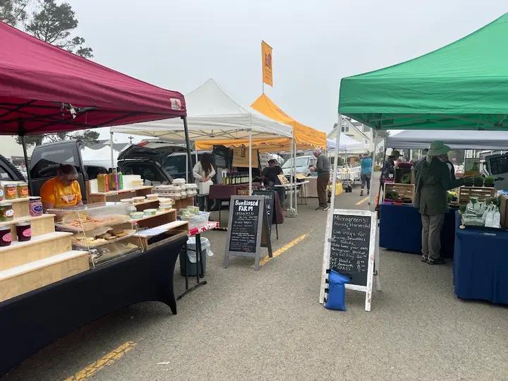Mendocino Farmers Market photo 2