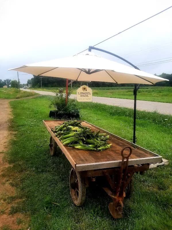 Mercer MainStreet Farmers' Market