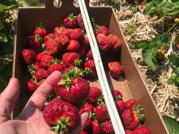 Merrill Area Farmers' Market