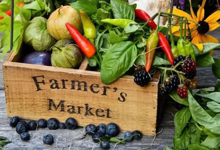 Merrill Area Farmers' Market photo 2