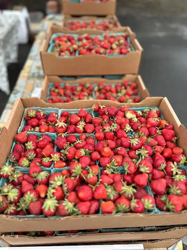 Methow Valley Farmers Market